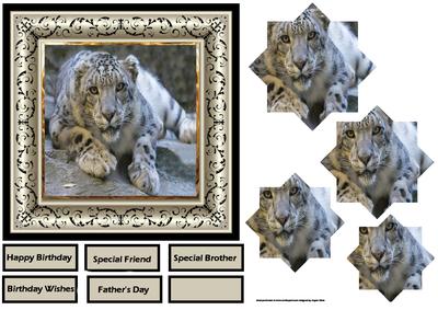 The Snow Leopard 6x6 Card with Pyramid