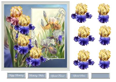 Iris 7x7 Card with Decoupage