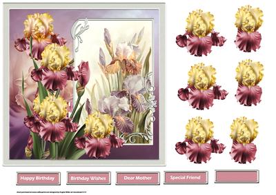 Pink Iris 7x7 Card with Decoupage