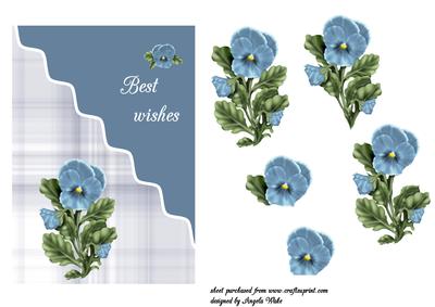 Scalloped Blue