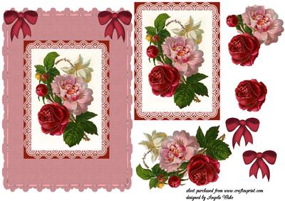 Sun Kissed Roses