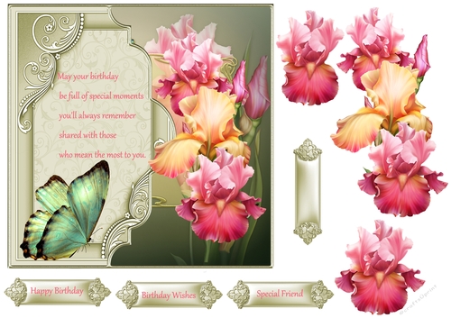 Iris and butterfly 7x7 card with decoupage and verse