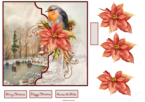 Robin and skaters 7x7 card with decoupage and sentiment tags