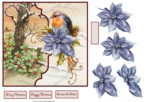 Robin and poinsettia