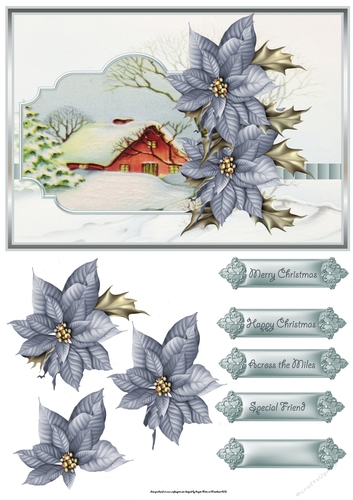 Blue poinsettias 