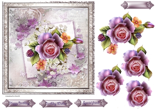 Rose and lace