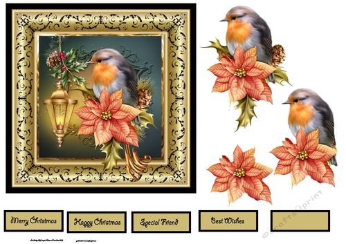 Robin Redbreast is a 6x6 card