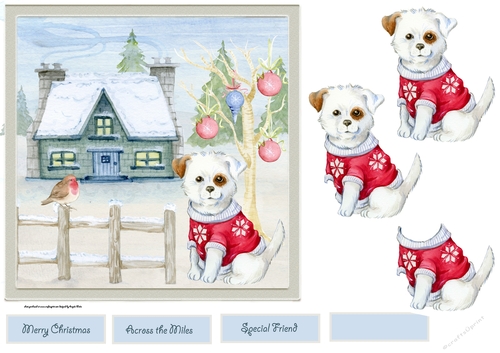 Puppy has a Christmas jumper on 7x7 card