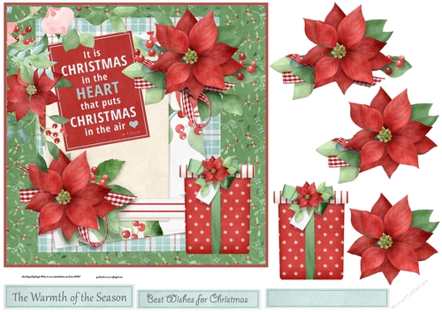 Poinsettias and gift