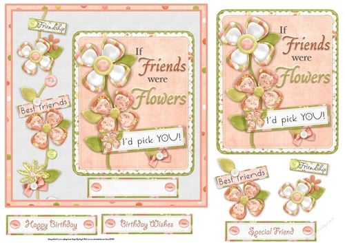 Friends and flowers