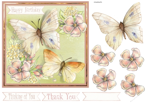 Butterfly and flowers
