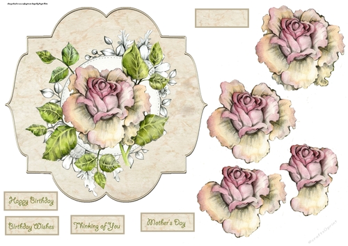 English rose 