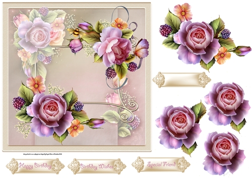 English rose