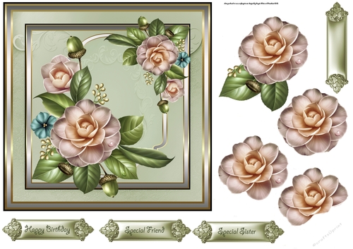 Birthday camelias