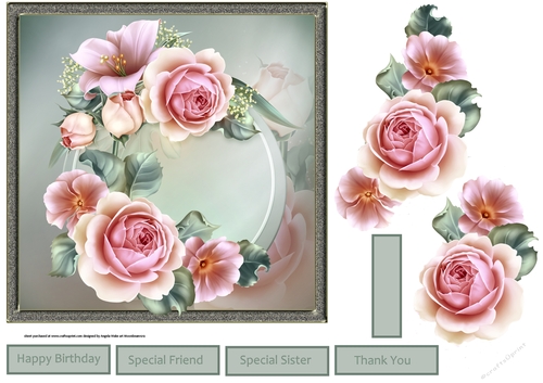 rose in bloom
