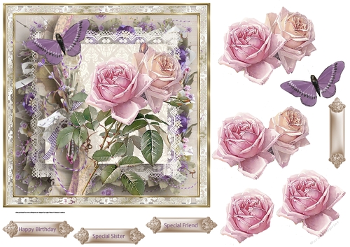 pink rose and lace