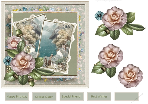 Camelias in clovely 