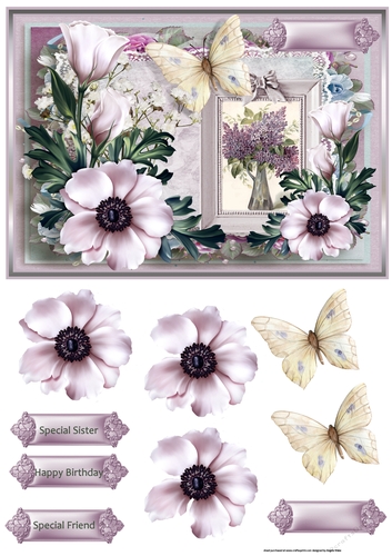 anemone and butterfly