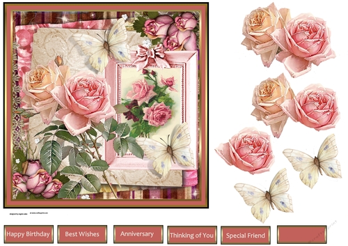 Rose variety