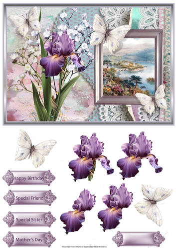 Iris and butterfly