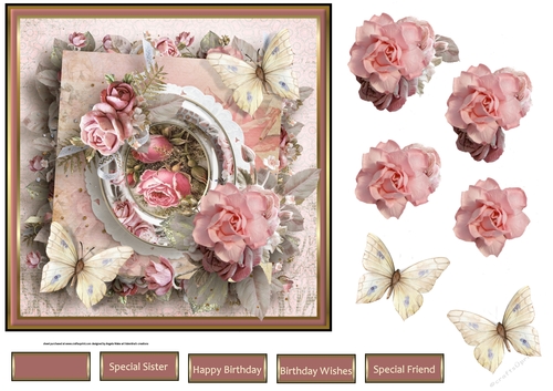 Rose and more roses