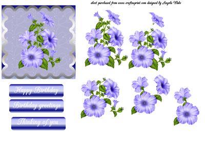 Purple Petunia and Scallops
