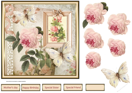 vintage pink rose