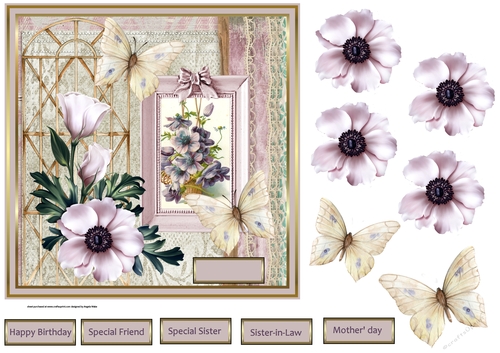 Anemone and lace