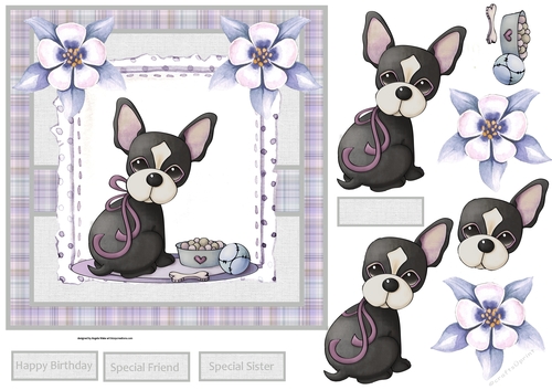 Cherry the chihuahua puppy
