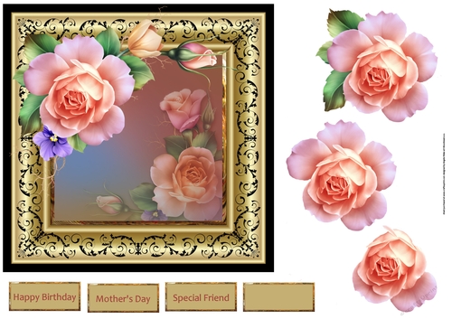 Summer rose