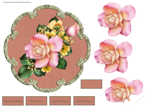 Pink rose