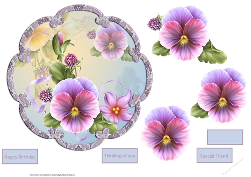 Summer pansy