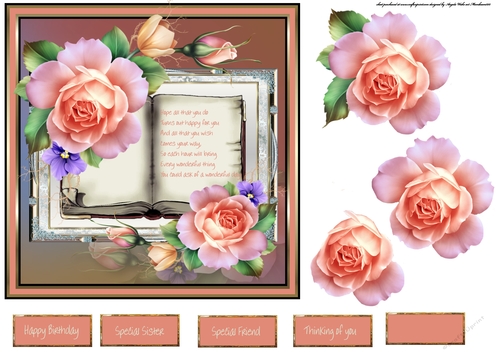 Rose in bloom