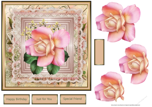 Perfect rose