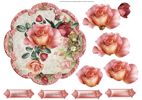 Rose romantic