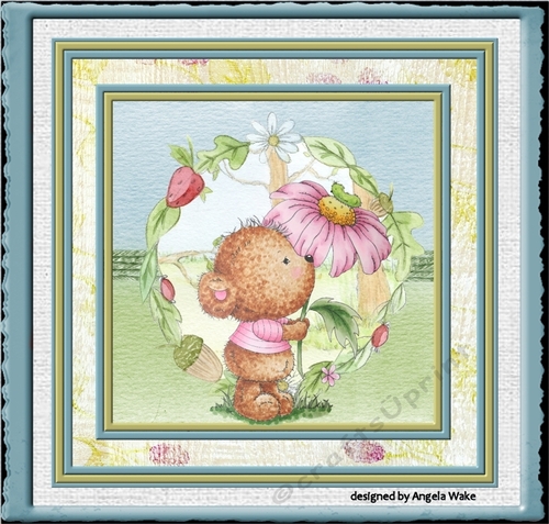 Happiness is a beary daisy
