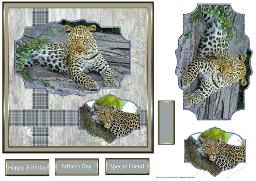 The Leopards