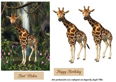 Giraff in the Falls