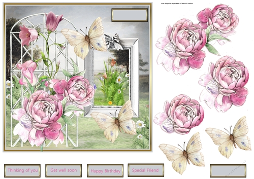 garden rose and butterfly