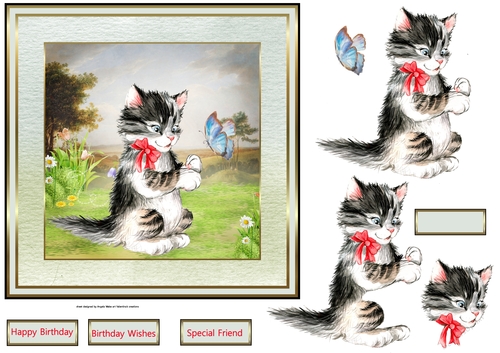 The cat and the butterfly