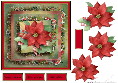 Red poinsettia and baubles