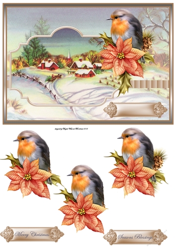 Robin redbreast