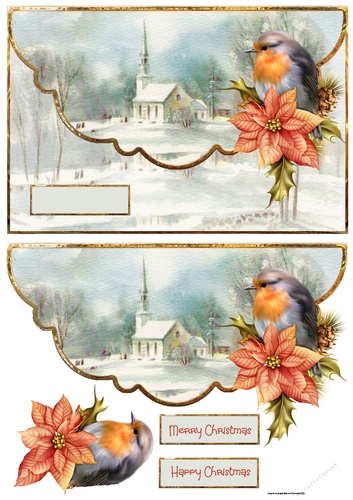 Robin and poinsettia