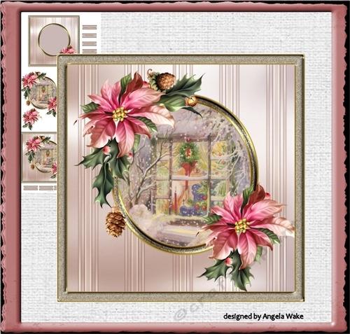 Christmas window and poinsettia