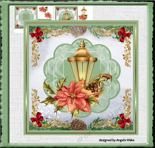 Poinsettia and lamp light