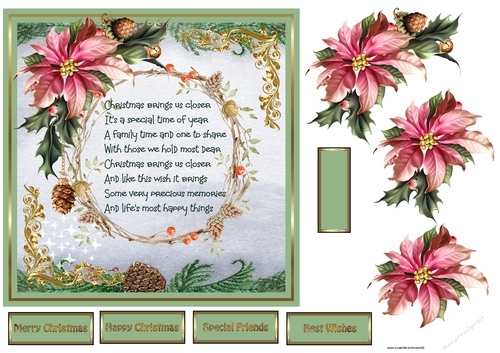 Poinsettia and fir cones