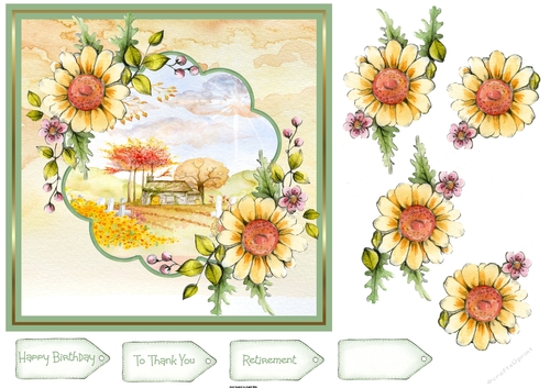 Yellow daisy and country house