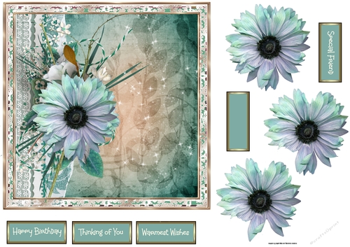 Blue anemone