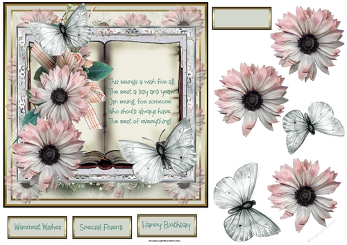 Pink anemone book