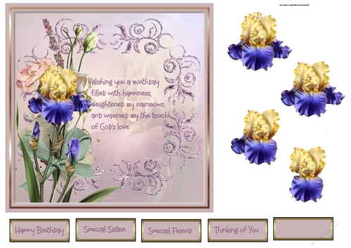 Iris and carnations 